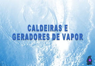 CALDEIRAS E  GERADORES DE VAPOR 