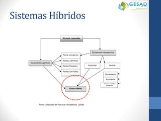 Sistemas Híbridos 
Fonte: Adaptado de Vymazal e Kropfelová, (2008)  