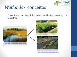 Wetlands - conceitos 
•Ecossistema de transição entre ambientes aquáticos e terrestres; 
Fonte: http://institutoterramax.blogspot.com.br 
Fonte: http://institutoterramax.blogspot.com.br  