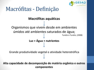 Macrófitas - Definição 
Macrófitas aquáticas 
Organismos que vivem desde em ambientes úmidos até ambientes saturados de água; 
Tundisi e Tundisi, (2008) 
Luz + Água + nutrientes 
Grande produtividade vegetal e atividade heterotrófica 
Alta capacidade de decomposição de matéria orgânica e outros componentes 
 