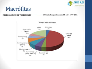 PERFORMANCES DE TRATAMENTO 
100 trabalhos publicados no BR entre 1999-2011 
Macrófitas  