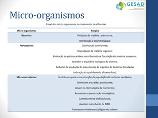 Micro-organismos 
Micro-organismos 
Função 
Bactérias 
Oxidação da matéria carbonácea; 
Nitrificação e Desnitrificação; 
Protozoários 
Clarificação do efluente; 
Degradação da matéria orgânica; 
Produção de polissacarídeos contribuindo na floculação do material suspenso; 
Mantêm o equilíbrio ecológico do sistema; 
Redução da produção do lodo através da ingestão de bactérias floculadas 
Indicação da qualidade do efluente final; 
Micrometazóarios 
Contribuem para a manutenção da população de bactérias saudáveis; 
Diminuem a turbidez do efluente; 
Atuam na recirculação de nutrientes; 
Aumentam a penetração do oxigênio; 
Contribuem na biofloculação; 
Auxiliam na redução de DBO; 
Favorecem o balanço ecológico do sistema 
Papel dos micro-organismos no tratamento de efluentes  