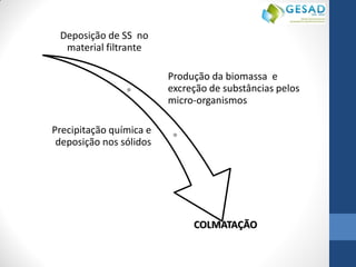 Deposição de SS no material filtrante 
Produção da biomassa e excreção de substâncias pelos micro-organismos 
Precipitação química e deposição nos sólidos 
COLMATAÇÃO  