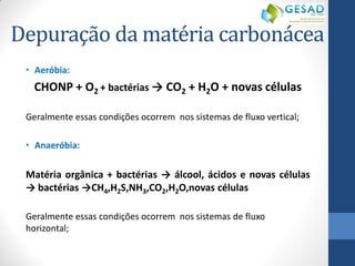 Depuração da matéria carbonácea 
•Aeróbia: 
CHONP + O2 + bactérias → CO2 + H2O + novas células 
Geralmente essas condições ocorrem nos sistemas de fluxo vertical; 
•Anaeróbia: 
Matéria orgânica + bactérias → álcool, ácidos e novas células → bactérias →CH4,H2S,NH3,CO2,H2O,novas células 
Geralmente essas condições ocorrem nos sistemas de fluxo horizontal;  