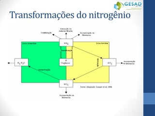 Transformações do nitrogênio 
Fonte: Adaptado Cooper et al, 1996  