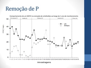 Comportamento de um WCFH na remoção de ortofosfato ao longo de 1 ano de monitoramento 
Remoção de P  