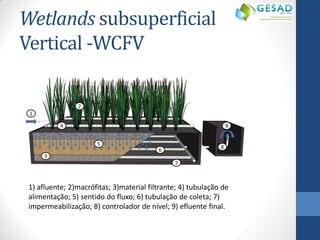 Wetlands subsuperficial Vertical -WCFV 
1) afluente; 2)macrófitas; 3)material filtrante; 4) tubulação de alimentação; 5) sentido do fluxo; 6) tubulação de coleta; 7) impermeabilização; 8) controlador de nível; 9) efluente final. 
 