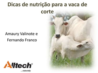 Dicas de nutrição para a vaca de
corte
Amaury Valinote e
Fernando Franco
 