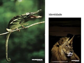 identidade 