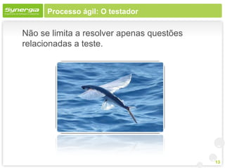 Processo ágil: O testador

Não se limita a resolver apenas questões
relacionadas a teste.




                                           13
 