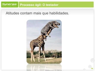Processo ágil: O testador

Atitudes contam mais que habilidades.




                                        14
 