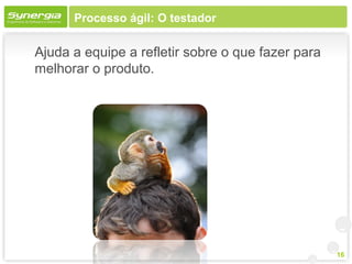 Processo ágil: O testador

Ajuda a equipe a refletir sobre o que fazer para
melhorar o produto.




                                                   16
 