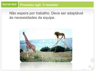Processo ágil: O testador

Não espera por trabalho. Deve ser adaptável
às necessidades da equipe.




                                              8
 