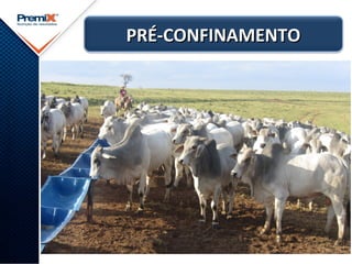 PRÉ-CONFINAMENTOPRÉ-CONFINAMENTO
 