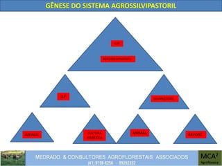 GÊNESE DO SISTEMA AGROSSILVIPASTORIL
ANIMAL
ILP SILVIPASTORIL
ILPF
AGROSSILVIPASTORIL
CULTURA
AGRÍCOLA
ANIMAL ÁRVORE
 