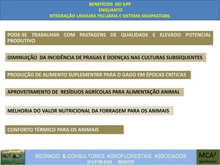 CONFORTO TÉRMICO PARA OS ANIMAIS
BENEFÍCIOS DO ILPF
ENQUANTO
NTEGRAÇÃO LAVOURA PECUÁRIA E SISTEMA SILVIPASTORIL
MELHORIA DO VALOR NUTRICIONAL DA FORRAGEM PARA OS ANIMAIS
PODE-SE TRABALHAR COM PASTAGENS DE QUALIDADE E ELEVADO POTENCIAL
PRODUTIVO
APROVEITAMENTO DE RESÍDUOS AGRÍCOLAS PARA ALIMENTAÇÃO ANIMAL
PRODUÇÃO DE ALIMENTO SUPLEMENTAR PARA O GADO EM ÉPOCAS CRÍTICAS
DIMINUIÇÃO DA INCIDÊNCIA DE PRAGAS E DOENÇAS NAS CULTURAS SUBSEQUENTES
 