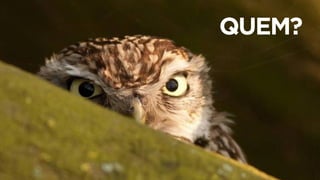 QUEM?
 
