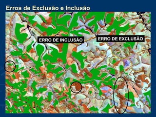 Erros de Exclusão e InclusãoErros de Exclusão e Inclusão
ERRO DE INCLUSÃO ERRO DE EXCLUSÃO
 