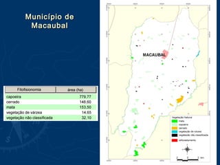 Município deMunicípio de
MacaubalMacaubal
 