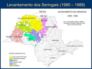 Levantamento dos Seringais (1980 – 1988)Levantamento dos Seringais (1980 – 1988)
 