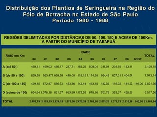 RAIO em Km
IDADE
TOTAL
20 21 22 23 24 25 26 27 28 S/INF
A (até 50 ) 469,81 499,03 466,17 287,71 285,25 508,04 315,91 234,75 133,11 3.199,78
B (de 50 a 100) 839,55 953,47 1.069,59 440,00 619,15 1.114,95 864,48 637,31 1.404,64 7.943,14
C (de 100 a 150) 439,45 572,87 566,72 453,86 442,44 463,45 182,03 116,32 144,22 140,00 3.521,36
D (acima de 150) 654,94 1.078,18 821,67 693,99 1.073,55 675,16 707,78 383,37 428,92 6.517,56
TOTAL 2.403,75 3.103,55 2.924,15 1.875,56 2.420,39 2.761,60 2.070,20 1.371,75 2.110,89 140,00 21.181,84
REGIÕES DELIMITADAS POR DISTÂNCIAS DE 50, 100, 150 E ACIMA DE 150Km,
A PARTIR DO MUNICÍPIO DE TABAPUÃ
Distribuição dos Plantios de Seringueira na Região doDistribuição dos Plantios de Seringueira na Região do
Pólo de Borracha no Estado de São PauloPólo de Borracha no Estado de São Paulo
Período 1980 - 1988Período 1980 - 1988
 