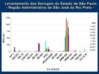 Levantamento dos Seringais do Estado de São PauloLevantamento dos Seringais do Estado de São Paulo
- Região Administrativa de São José do Rio Preto -- Região Administrativa de São José do Rio Preto -
 