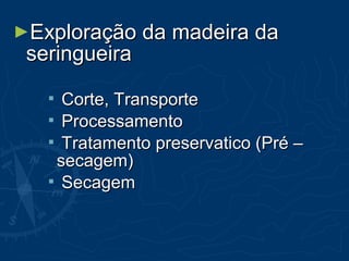 ►Exploração da madeira daExploração da madeira da
seringueiraseringueira
 Corte, TransporteCorte, Transporte
 ProcessamentoProcessamento
 Tratamento preservatico (Pré –Tratamento preservatico (Pré –
secagem)secagem)
 SecagemSecagem
 