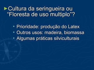 ►Cultura da seringueira ouCultura da seringueira ou
“Floresta de uso multiplo”?“Floresta de uso multiplo”?
 Prioridade: produção do LatexPrioridade: produção do Latex
 Outros usos: madeira, biomassaOutros usos: madeira, biomassa
 Algumas práticas silviculturaisAlgumas práticas silviculturais
 