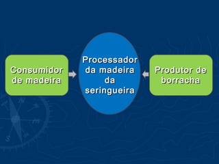 ConsumidorConsumidor
de madeirade madeira
ProcessadorProcessador
da madeirada madeira
dada
seringueiraseringueira
Produtor deProdutor de
borrachaborracha
 