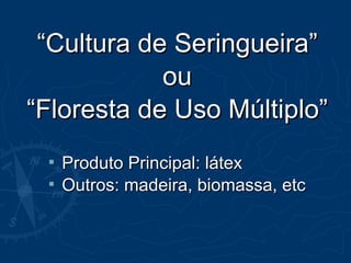 ““Cultura de Seringueira”Cultura de Seringueira”
ouou
““Floresta de Uso Múltiplo”Floresta de Uso Múltiplo”
 Produto Principal: látexProduto Principal: látex
 Outros: madeira, biomassa, etcOutros: madeira, biomassa, etc
 