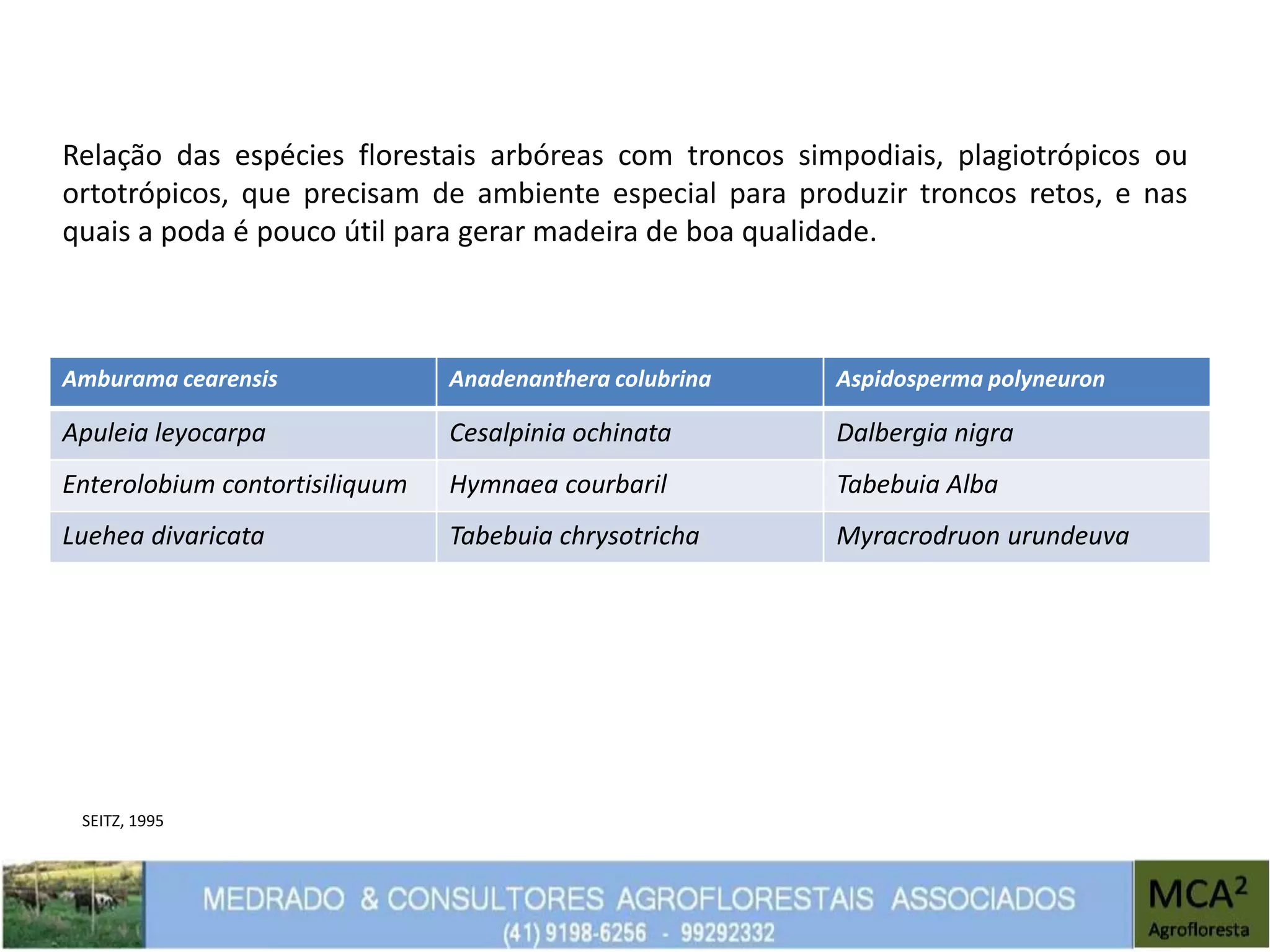Relação das espécies florestais arbóreas com troncos simpodiais, plagiotrópicos ou
ortotrópicos, que precisam de ambiente especial para produzir troncos retos, e nas
quais a poda é pouco útil para gerar madeira de boa qualidade.
Amburama cearensis Anadenanthera colubrina Aspidosperma polyneuron
Apuleia leyocarpa Cesalpinia ochinata Dalbergia nigra
Enterolobium contortisiliquum Hymnaea courbaril Tabebuia Alba
Luehea divaricata Tabebuia chrysotricha Myracrodruon urundeuva
SEITZ, 1995
 