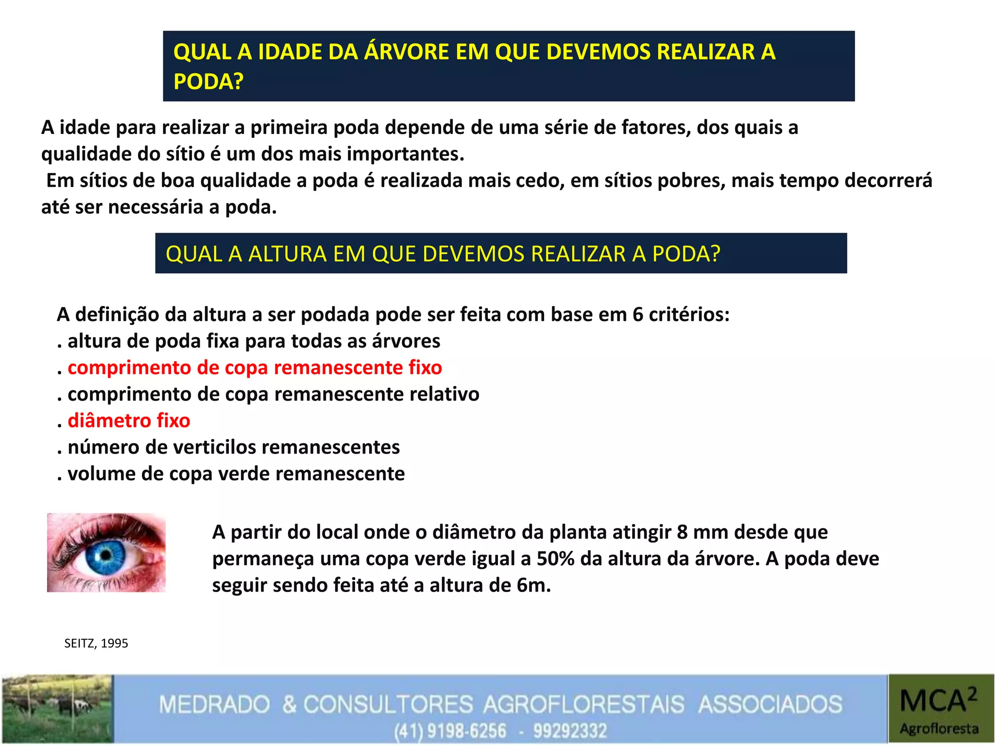 QUAL A IDADE DA ÁRVORE EM QUE DEVEMOS REALIZAR A
PODA?
A idade para realizar a primeira poda depende de uma série de fatores, dos quais a
qualidade do sítio é um dos mais importantes.
Em sítios de boa qualidade a poda é realizada mais cedo, em sítios pobres, mais tempo decorrerá
até ser necessária a poda.
QUAL A ALTURA EM QUE DEVEMOS REALIZAR A PODA?
A definição da altura a ser podada pode ser feita com base em 6 critérios:
. altura de poda fixa para todas as árvores
. comprimento de copa remanescente fixo
. comprimento de copa remanescente relativo
. diâmetro fixo
. número de verticilos remanescentes
. volume de copa verde remanescente
A partir do local onde o diâmetro da planta atingir 8 mm desde que
permaneça uma copa verde igual a 50% da altura da árvore. A poda deve
seguir sendo feita até a altura de 6m.
SEITZ, 1995
 
