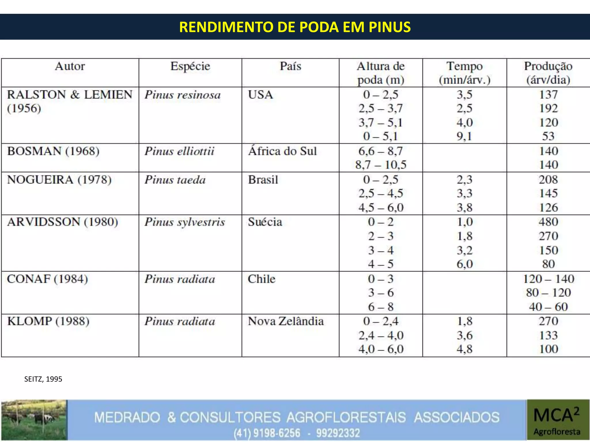 RENDIMENTO DE PODA EM PINUS
SEITZ, 1995
 