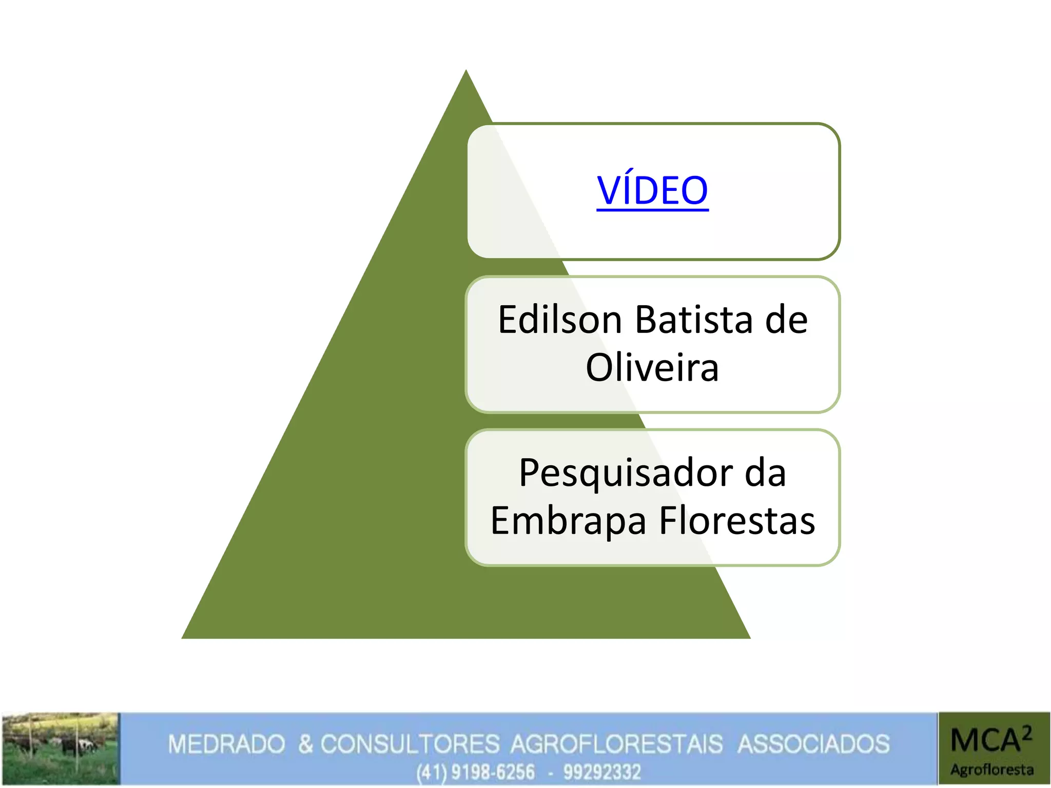 VÍDEO
Edilson Batista de
Oliveira
Pesquisador da
Embrapa Florestas
 