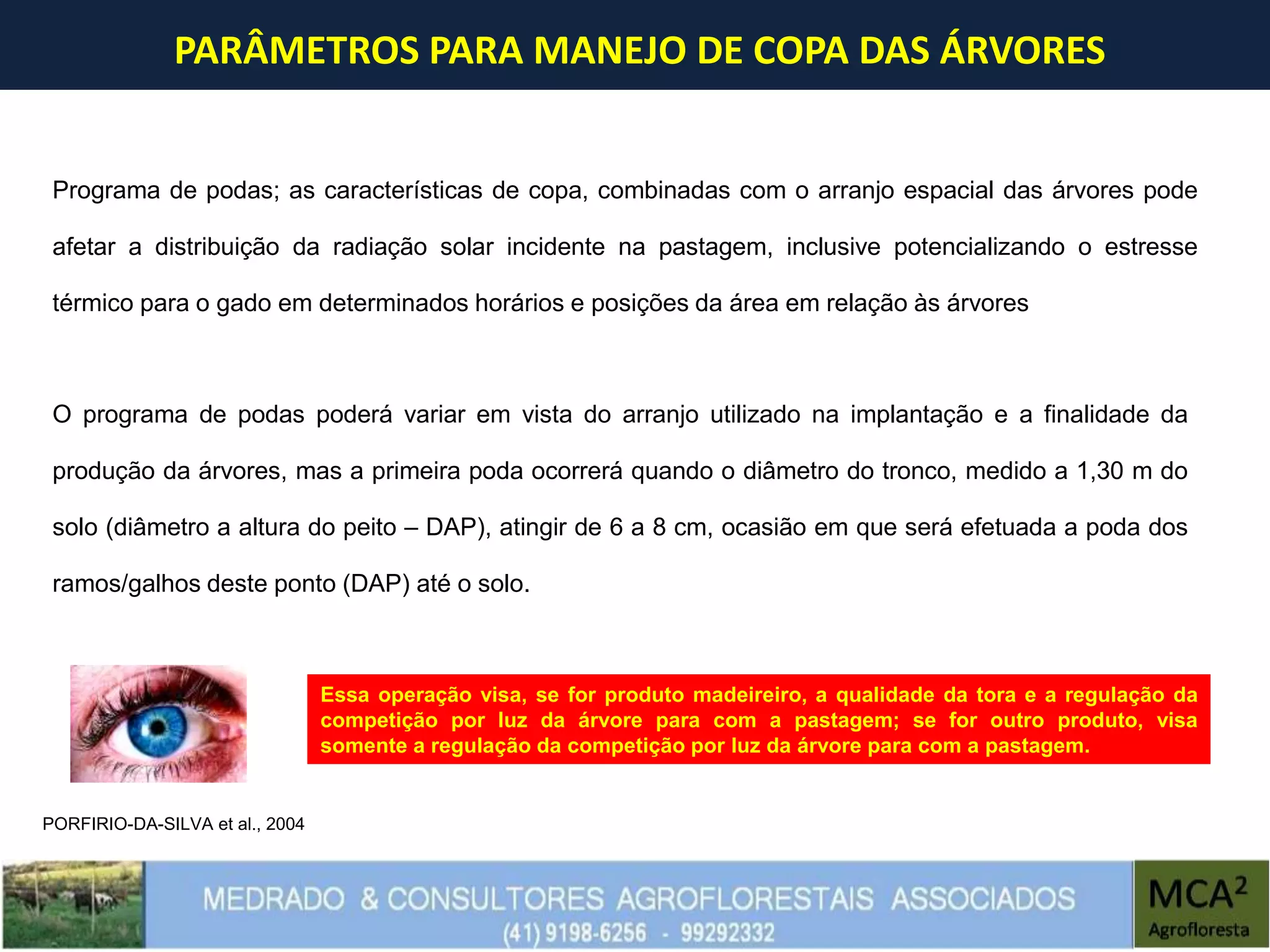 PARÂMETROS PARA MANEJO DE COPA DAS ÁRVORES
Programa de podas; as características de copa, combinadas com o arranjo espacial das árvores pode
afetar a distribuição da radiação solar incidente na pastagem, inclusive potencializando o estresse
térmico para o gado em determinados horários e posições da área em relação às árvores
O programa de podas poderá variar em vista do arranjo utilizado na implantação e a finalidade da
produção da árvores, mas a primeira poda ocorrerá quando o diâmetro do tronco, medido a 1,30 m do
solo (diâmetro a altura do peito – DAP), atingir de 6 a 8 cm, ocasião em que será efetuada a poda dos
ramos/galhos deste ponto (DAP) até o solo.
Essa operação visa, se for produto madeireiro, a qualidade da tora e a regulação da
competição por luz da árvore para com a pastagem; se for outro produto, visa
somente a regulação da competição por luz da árvore para com a pastagem.
PORFIRIO-DA-SILVA et al., 2004
 