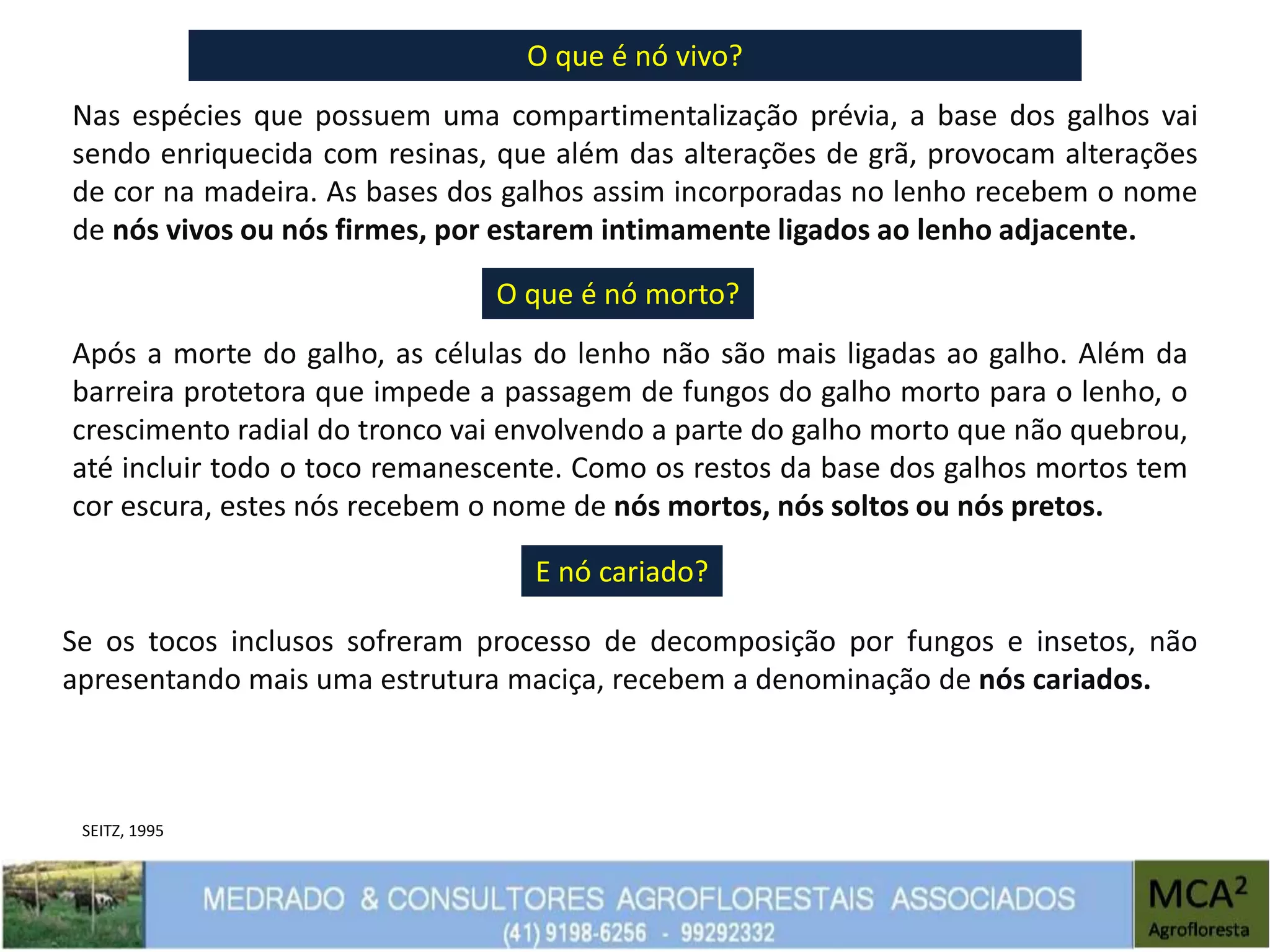 O que é nó vivo?
Nas espécies que possuem uma compartimentalização prévia, a base dos galhos vai
sendo enriquecida com resinas, que além das alterações de grã, provocam alterações
de cor na madeira. As bases dos galhos assim incorporadas no lenho recebem o nome
de nós vivos ou nós firmes, por estarem intimamente ligados ao lenho adjacente.
O que é nó morto?
Após a morte do galho, as células do lenho não são mais ligadas ao galho. Além da
barreira protetora que impede a passagem de fungos do galho morto para o lenho, o
crescimento radial do tronco vai envolvendo a parte do galho morto que não quebrou,
até incluir todo o toco remanescente. Como os restos da base dos galhos mortos tem
cor escura, estes nós recebem o nome de nós mortos, nós soltos ou nós pretos.
E nó cariado?
Se os tocos inclusos sofreram processo de decomposição por fungos e insetos, não
apresentando mais uma estrutura maciça, recebem a denominação de nós cariados.
SEITZ, 1995
 