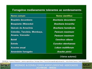 Extraido de : Sistemas Silvipastoris – palestra organizada por Domingos Sávio C. Paciulo (domingos@cnpgl.embrapa.br) ; Carlos Renato Tavares e Pedro Braga Arcuri)
 