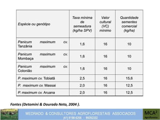 Fontes (Detomini & Dourado Neto, 2004 ).
Espécie ou genótipo
Taxa mínima
de
semeadura
(kg/ha SPV)
Valor
cultural
(VC)
mínimo
Quantidade
sementes
comercial
(kg/ha)
Panicum maximum cv.
Tanzânia
1,6 16 10
Panicum maximum cv.
Mombaça
1,6 16 10
Panicum maximum cv.
Colonião
1,6 16 10
P. maximum cv. Tobiatã 2,5 16 15,6
P. maximum cv. Massai 2,0 16 12,5
P. maximum cv. Aruana 2,0 16 12,5
 