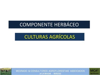COMPONENTE HERBÁCEO
CULTURAS AGRÍCOLAS
 