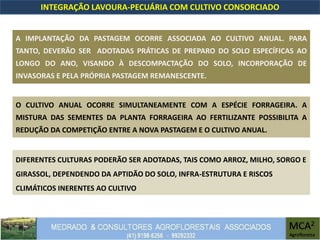 INTEGRAÇÃO LAVOURA-PECUÁRIA COM CULTIVO CONSORCIADO
A IMPLANTAÇÃO DA PASTAGEM OCORRE ASSOCIADA AO CULTIVO ANUAL. PARA
TANTO, DEVERÃO SER ADOTADAS PRÁTICAS DE PREPARO DO SOLO ESPECÍFICAS AO
LONGO DO ANO, VISANDO À DESCOMPACTAÇÃO DO SOLO, INCORPORAÇÃO DE
INVASORAS E PELA PRÓPRIA PASTAGEM REMANESCENTE.
O CULTIVO ANUAL OCORRE SIMULTANEAMENTE COM A ESPÉCIE FORRAGEIRA. A
MISTURA DAS SEMENTES DA PLANTA FORRAGEIRA AO FERTILIZANTE POSSIBILITA A
REDUÇÃO DA COMPETIÇÃO ENTRE A NOVA PASTAGEM E O CULTIVO ANUAL.
DIFERENTES CULTURAS PODERÃO SER ADOTADAS, TAIS COMO ARROZ, MILHO, SORGO E
GIRASSOL, DEPENDENDO DA APTIDÃO DO SOLO, INFRA-ESTRUTURA E RISCOS
CLIMÁTICOS INERENTES AO CULTIVO
 