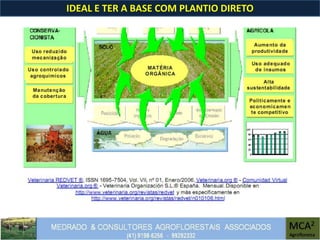 IDEAL E TER A BASE COM PLANTIO DIRETO
 