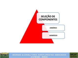 SELEÇÃO DE
COMPONENTES
ARBÓREO
HERBÁCEO
 