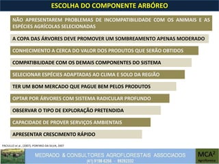 PACIULLO et al., (2007); PORFIRIO-DA-SILVA, 2007
ESCOLHA DO COMPONENTE ARBÓREO
SELECIONAR ESPÉCIES ADAPTADAS AO CLIMA E SOLO DA REGIÃO
OBSERVAR O TIPO DE EXPLORAÇÃO PRETENDIDA
CONHECIMENTO A CERCA DO VALOR DOS PRODUTOS QUE SERÃO OBTIDOS
APRESENTAR CRESCIMENTO RÁPIDO
OPTAR POR ÁRVORES COM SISTEMA RADICULAR PROFUNDO
A COPA DAS ÁRVORES DEVE PROMOVER UM SOMBREAMENTO APENAS MODERADO
CAPACIDADE DE PROVER SERVIÇOS AMBIENTAIS
NÃO APRESENTAREM PROBLEMAS DE INCOMPATIBILIDADE COM OS ANIMAIS E AS
ESPÉCIES AGRÍCOLAS SELECIONADAS
TER UM BOM MERCADO QUE PAGUE BEM PELOS PRODUTOS
COMPATIBILIDADE COM OS DEMAIS COMPONENTES DO SISTEMA
 