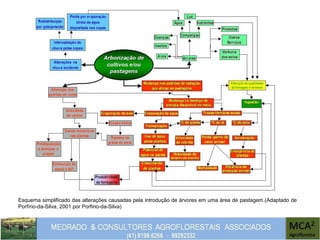 Esquema simplificado das alterações causadas pela introdução de árvores em uma área de pastagem.(Adaptado de
Porfírio-da-Silva, 2001 por Porfirio-da-Silva)
 