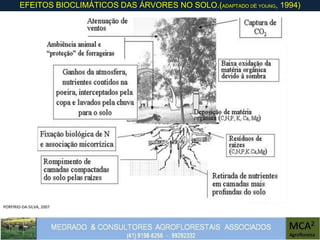 EFEITOS BIOCLIMÁTICOS DAS ÁRVORES NO SOLO.(ADAPTADO DE YOUNG, 1994)
PORFÍRIO-DA-SILVA, 2007
 
