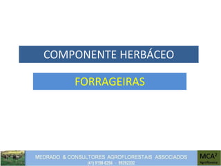 COMPONENTE HERBÁCEO
FORRAGEIRAS
 