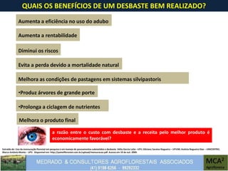 Extraído de: Uso da mensuração florestal em pesquisa e em manejo de povoamentos submetidos a desbaste. Hélio Garcia Leite –UFV; Gilciano Saraiva Nogueira – UFVJM; Andréa Nogueira Dias – UNICENTRO;
Marco Antônio Monte – UFV. Disponível em: http://painelflorestal.com.br/upload/mensuracao.pdf. Acesso em 10 de out. 2009.
QUAIS OS BENEFÍCIOS DE UM DESBASTE BEM REALIZADO?
•Prolonga a ciclagem de nutrientes
a razão entre o custo com desbaste e a receita pelo melhor produto é
economicamente favorável?
Aumenta a eficiência no uso do adubo
Aumenta a rentabilidade
Diminui os riscos
Evita a perda devido a mortalidade natural
Melhora as condições de pastagens em sistemas silvipastoris
Melhora o produto final
•Produz árvores de grande porte
 