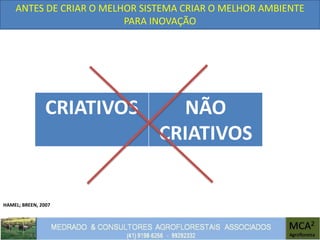 ANTES DE CRIAR O MELHOR SISTEMA CRIAR O MELHOR AMBIENTE
PARA INOVAÇÃO
HAMEL; BREEN, 2007
CRIATIVOS NÃO
CRIATIVOS
 