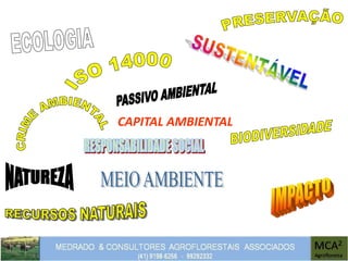 CAPITAL AMBIENTAL
 