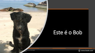 © 2007-2018 – TI Safe Segurança da Informação
Todos os direitos reservados www.tisafe.com
Este é o Bob
 